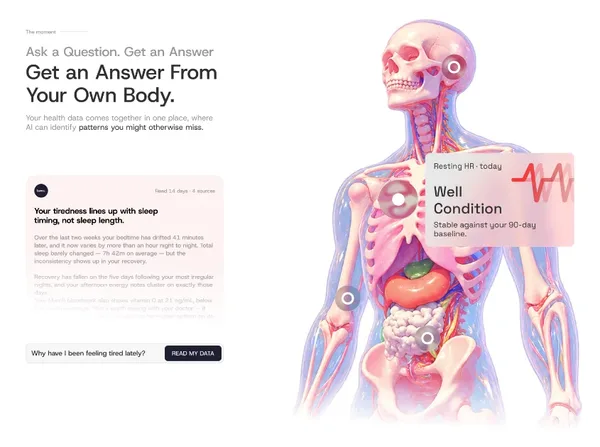 Luma: Get an Answer From Your Own Body, with an illustrated body